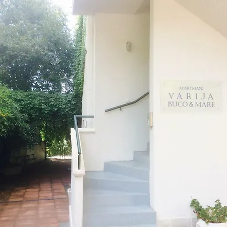 Varija 01 *